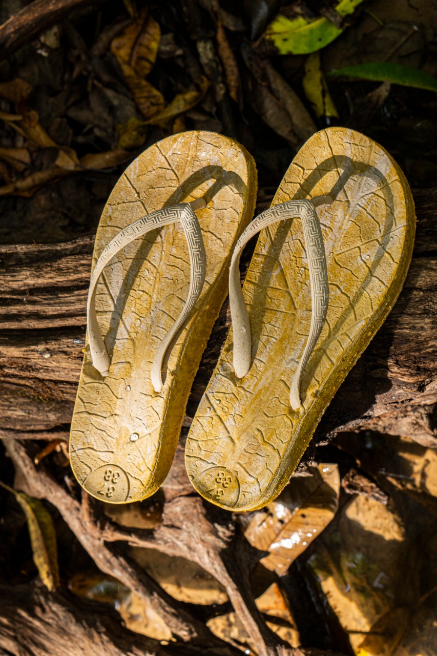 POLOPROBIO (11).jpeg