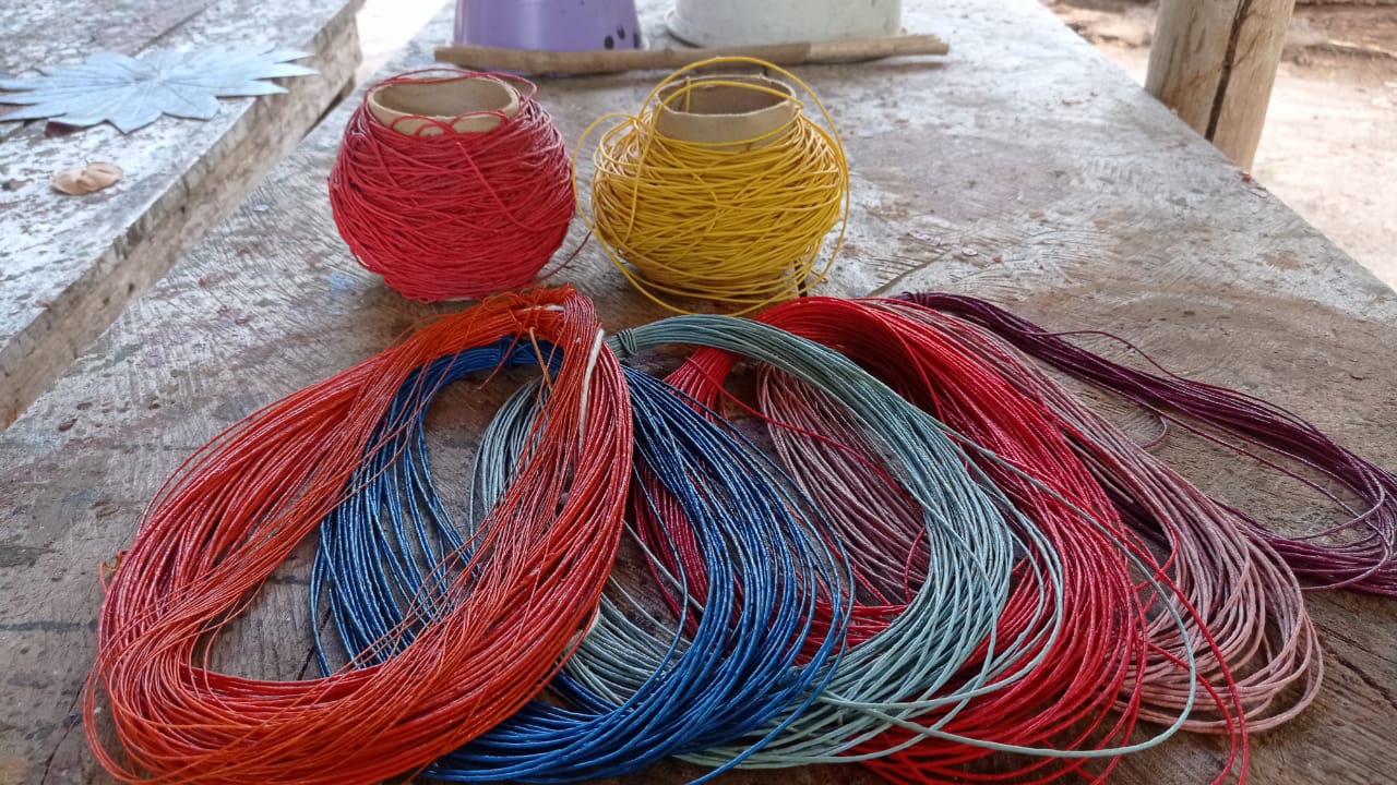 POLOPROBIO (18).jpeg