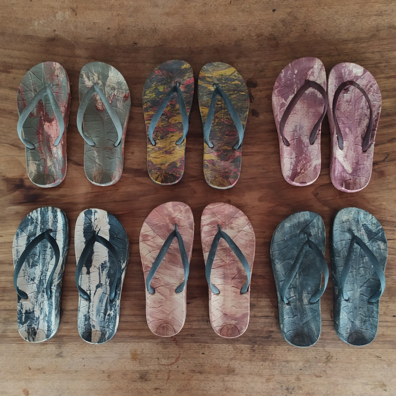 POLOPROBIO (10).jpeg