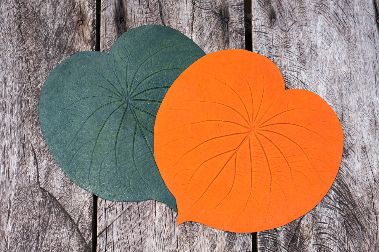 POLOPROBIO (20).jpeg