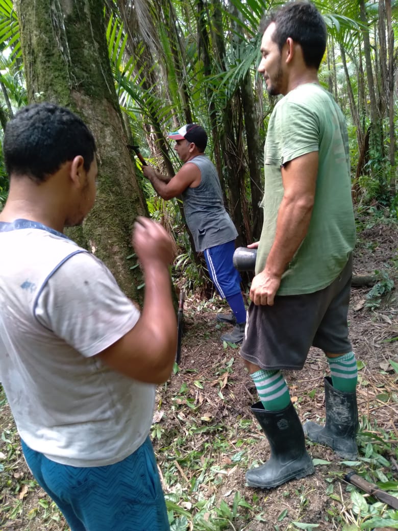 POLOPROBIO (13).jpeg